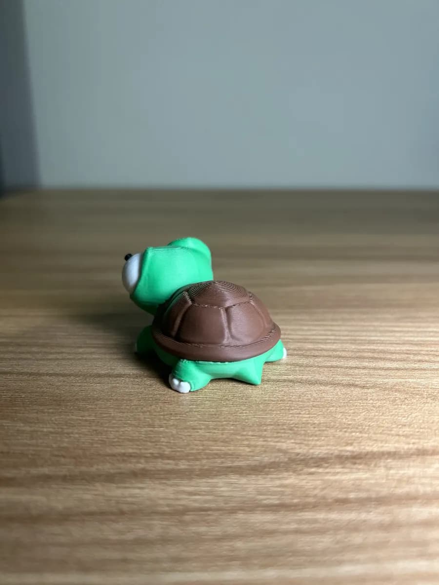 Tortuga ojos locos - Galería 3