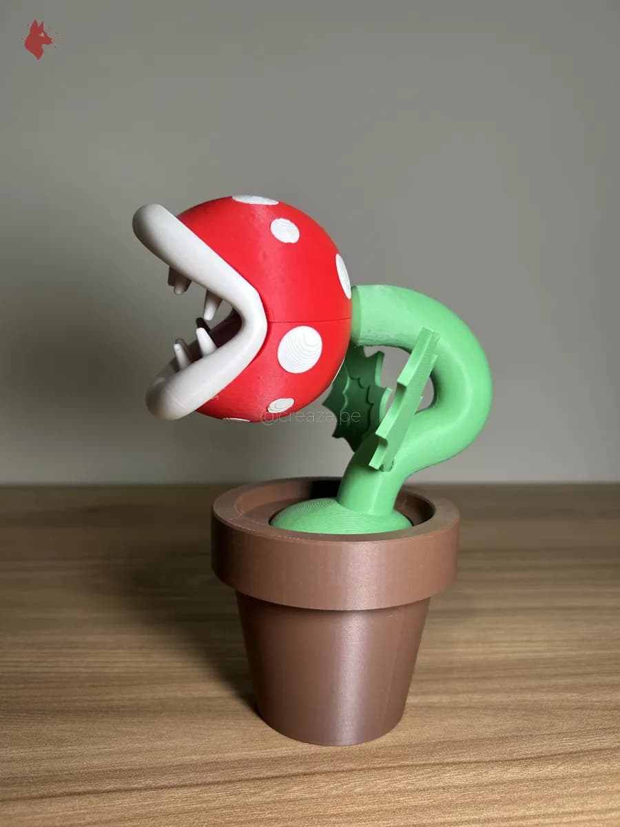 Planta Piraña - Galería 4
