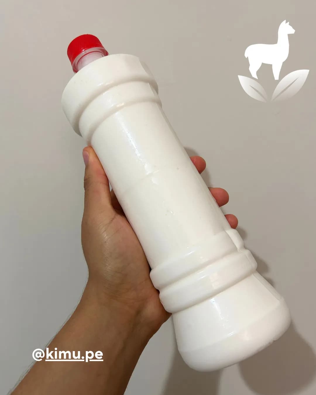 Kefir de leche (1 Litro)